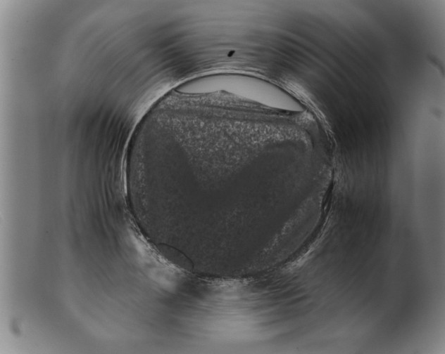 X0000099470892200805231827