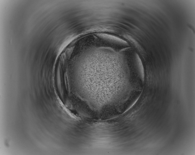 X0000099470894200805231827