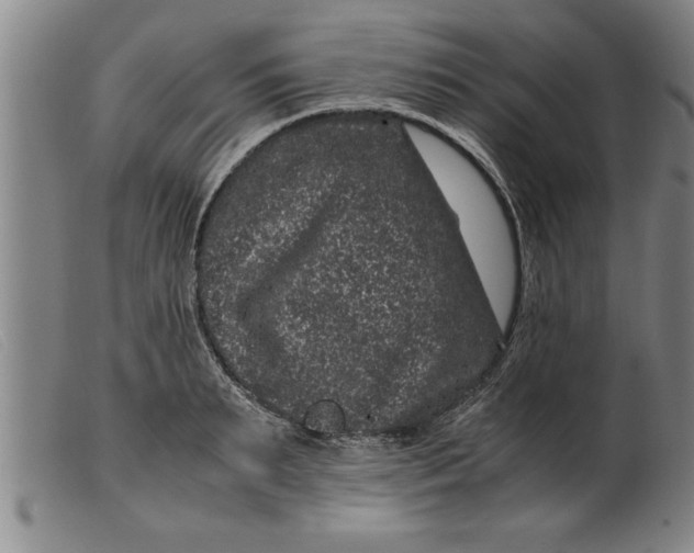 X0000099470895200805231827