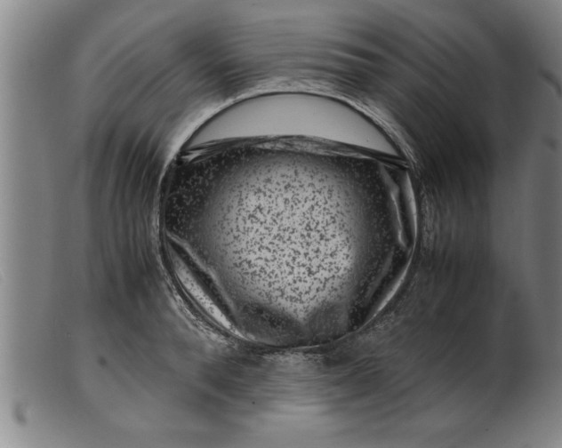 X0000099470896200805231827