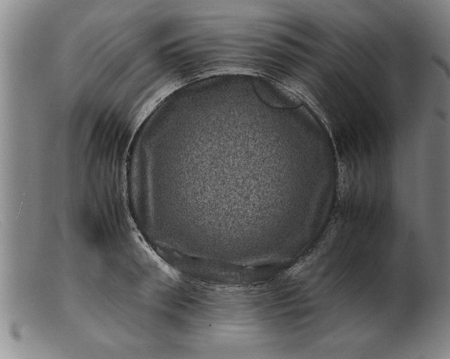 X0000099470898200805231827
