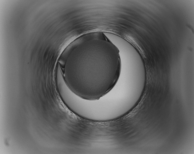 X0000099470900200805231827