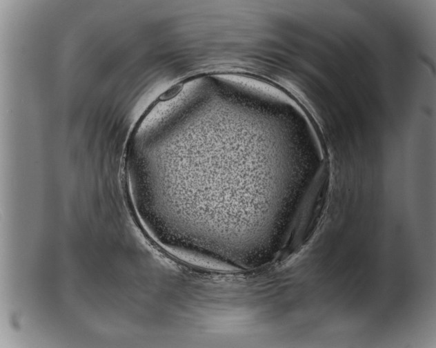 X0000099470901200805231827
