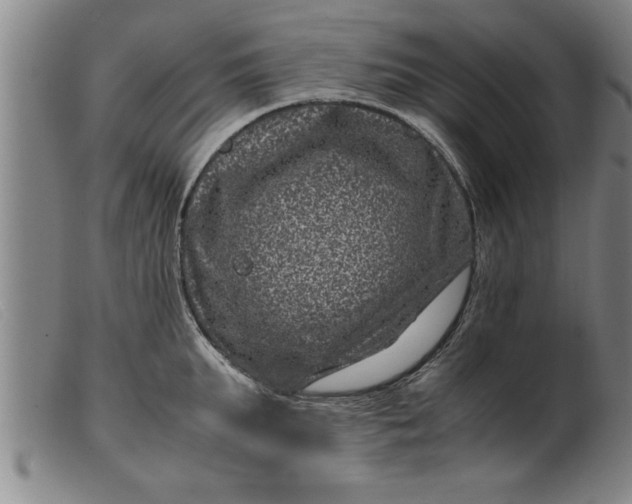 X0000099470903200805231827