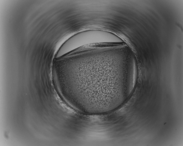X0000099470904200805231827