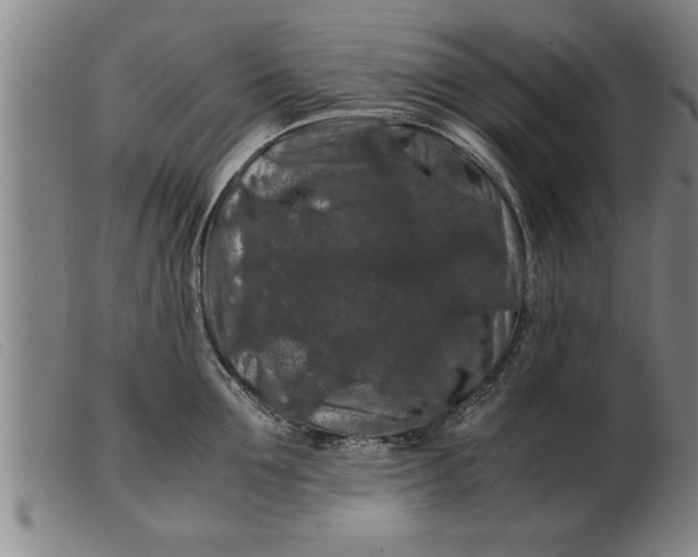 X0000099470907200805231827