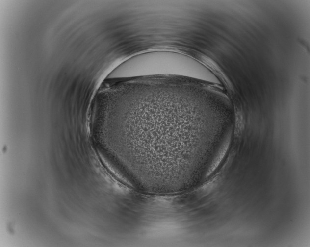 X0000099470908200805231827
