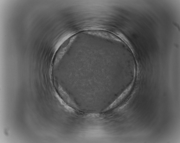 X0000099470909200805231827