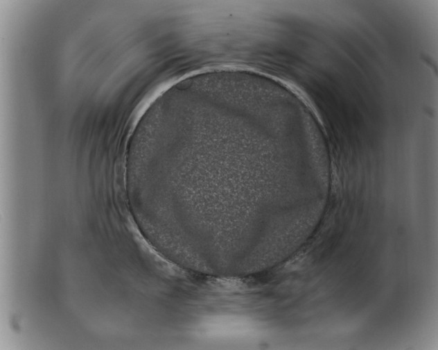 X0000099470911200805231827