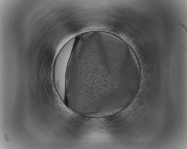 X0000099470912200805231827