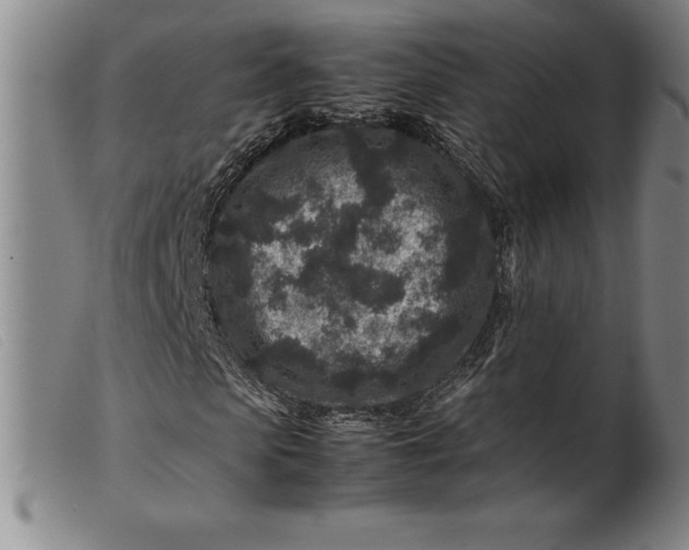 X0000099470913200805231826
