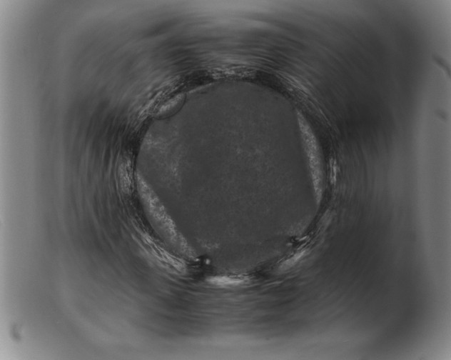 X0000099470915200805231826