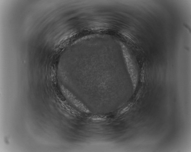 X0000099470917200805231826