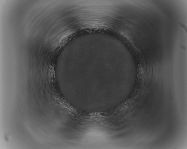 X0000099470918200805231826