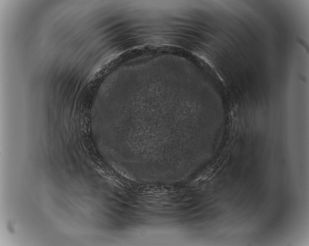 X0000099470919200805231826