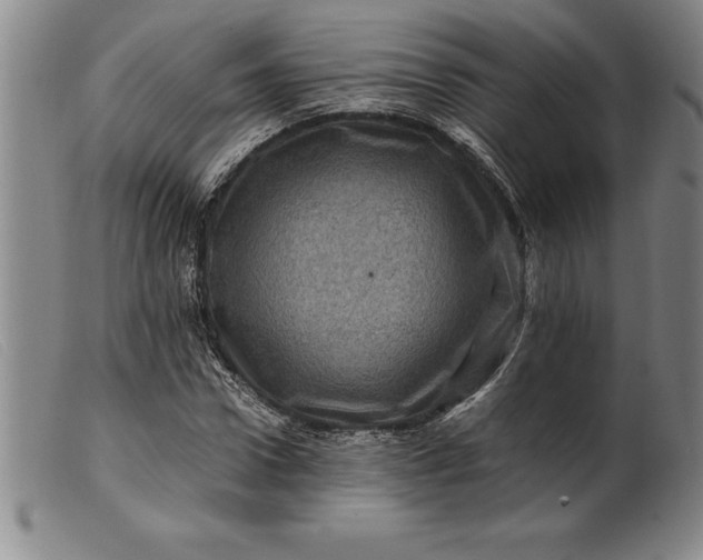 X0000099470922200805231826