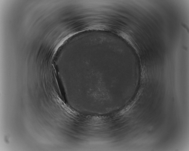 X0000099470923200805231826