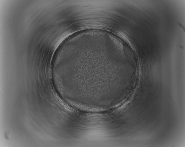 X0000099470924200805231826