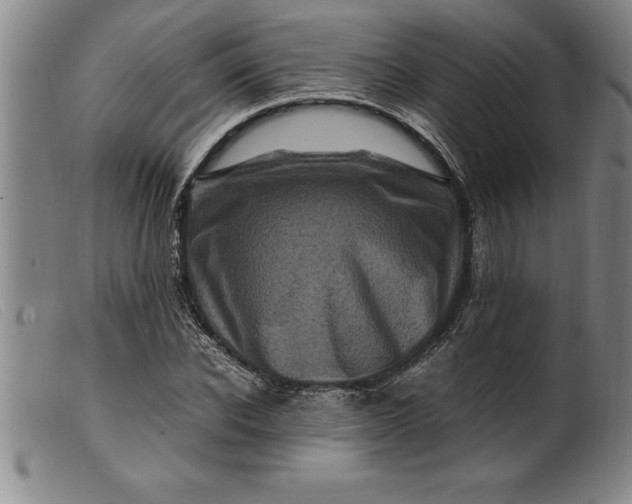 X0000099470926200805231826