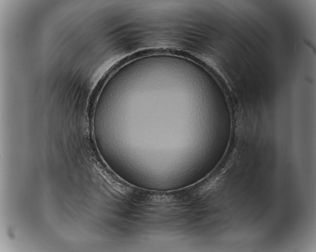 X0000099470927200805231827