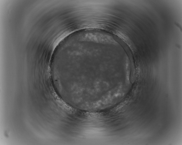 X0000099470928200805231827