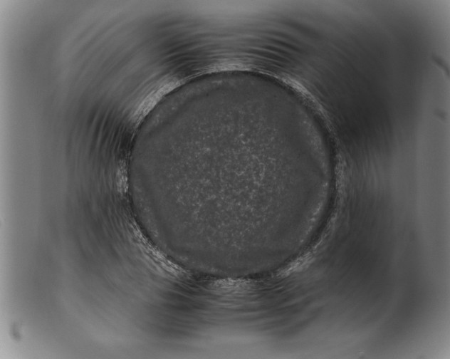 X0000099470929200805231827