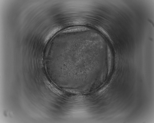 X0000099470930200805231827