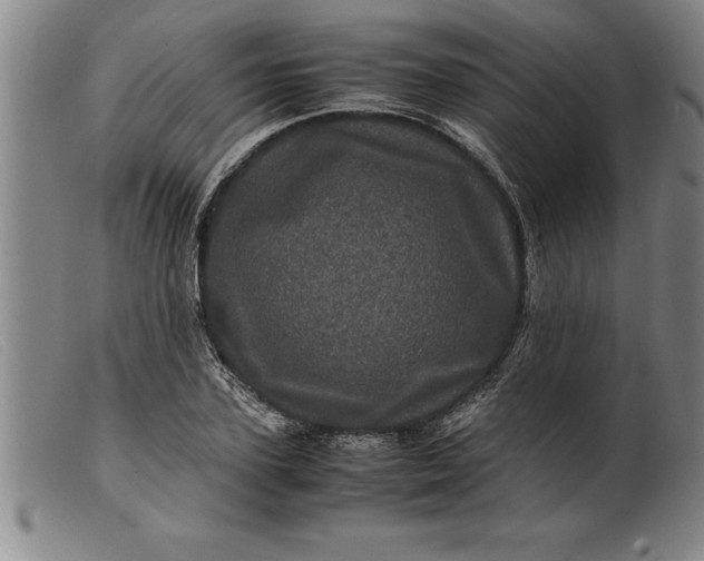 X0000099470931200805231827
