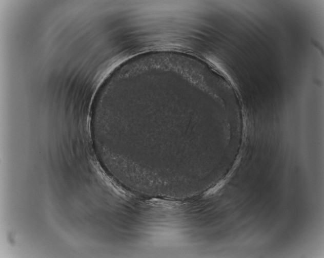 X0000099470932200805231827