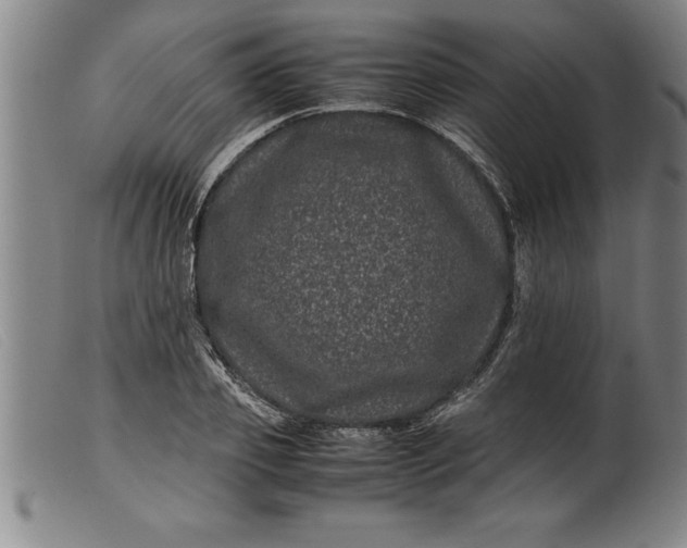 X0000099470933200805231827
