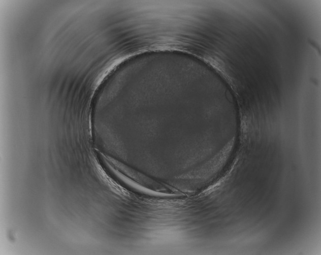 X0000099470934200805231827