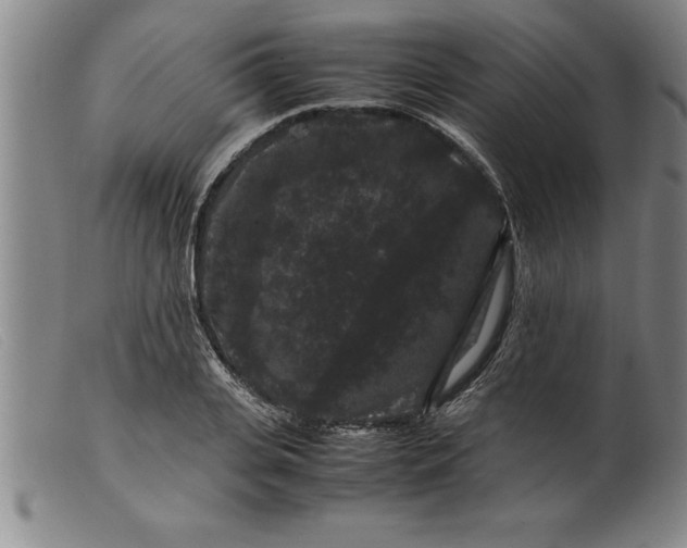 X0000099470935200805231827