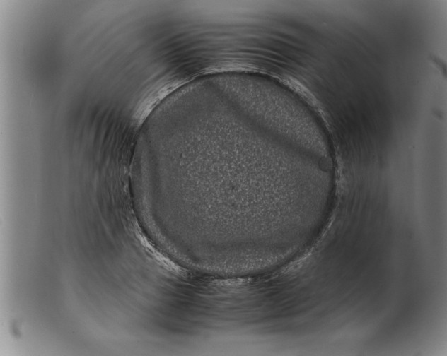 X0000099470937200805231827