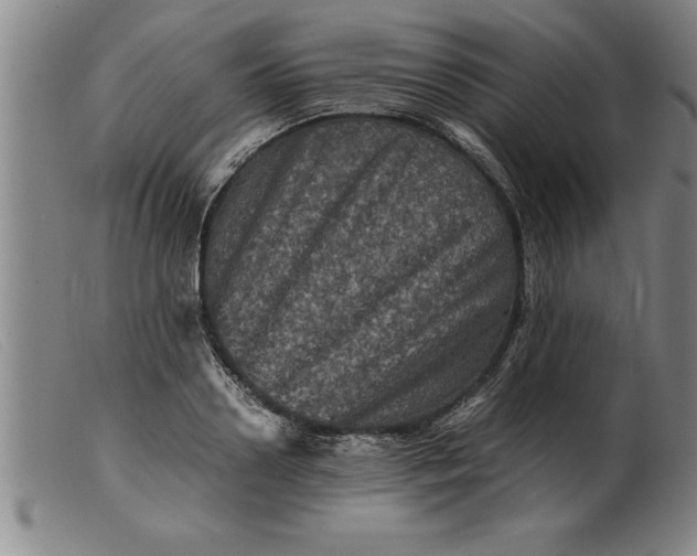 X0000099470938200805231827