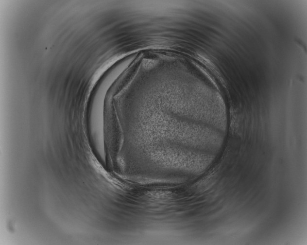 X0000099470939200805231827