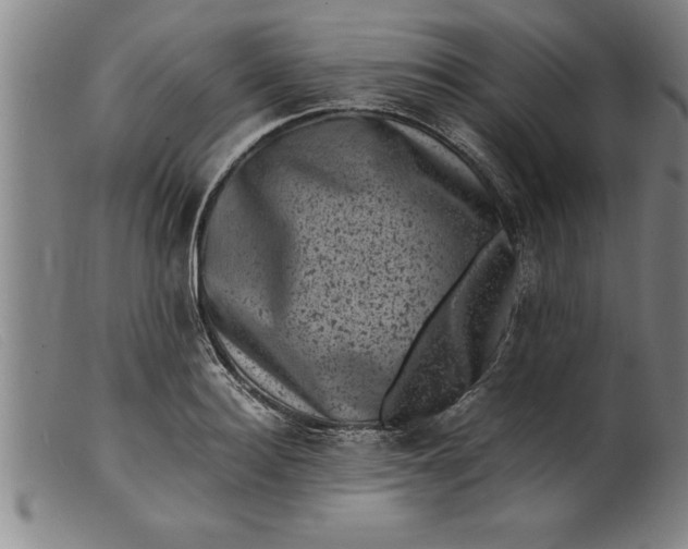X0000099470940200805231827