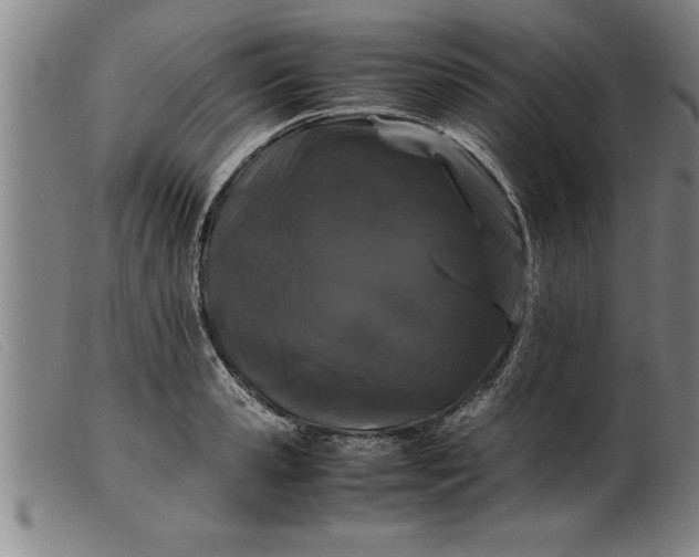 X0000099470941200805231827