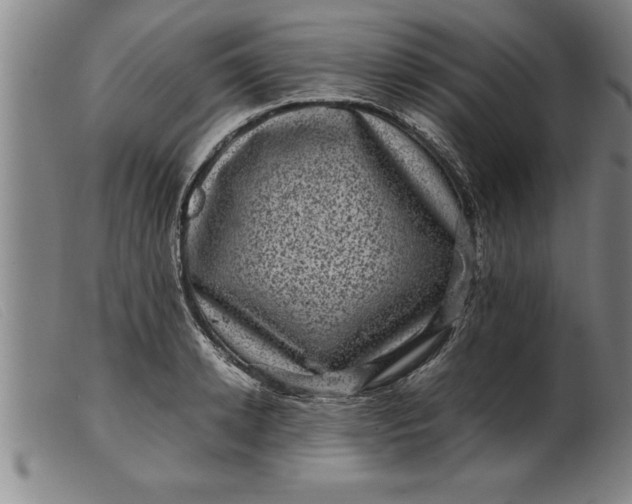 X0000099470942200805231827