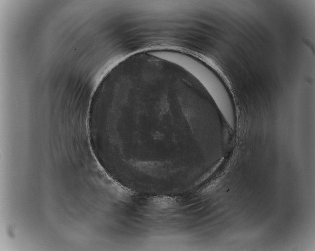 X0000099470943200805231827