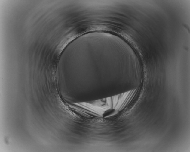 X0000099470945200805231827
