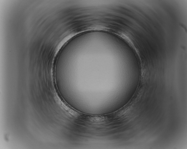X0000099470947200805231827