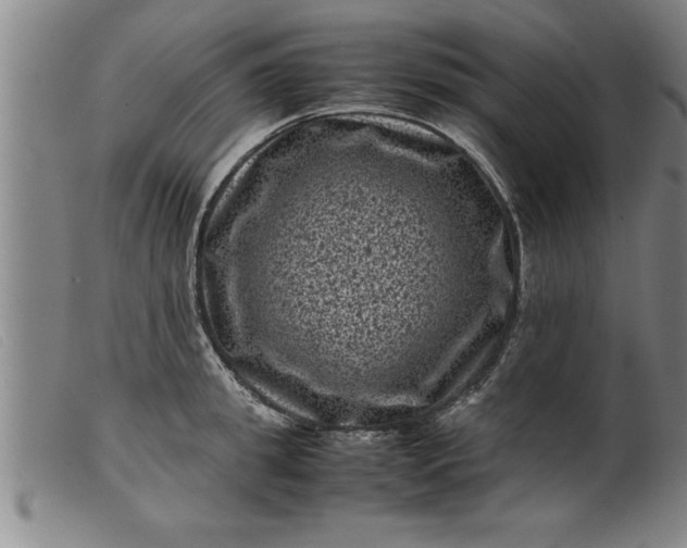 X0000099470949200805231827