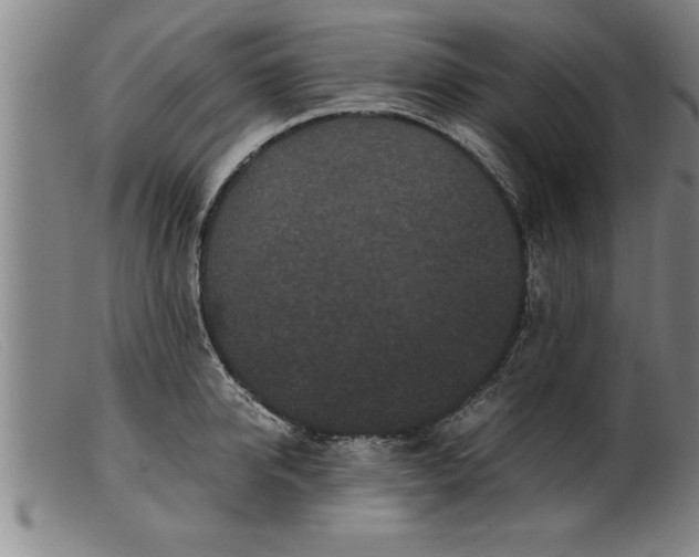 X0000099470950200805231827
