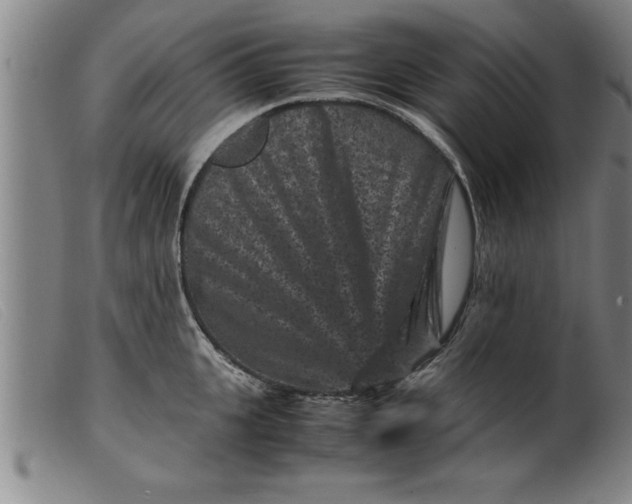 X0000099470951200805231827