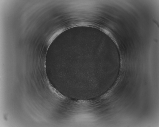X0000099470954200805231827