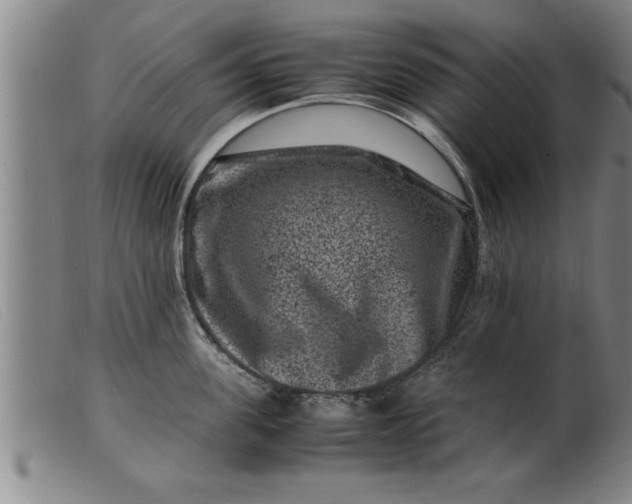 X0000099470955200805231827