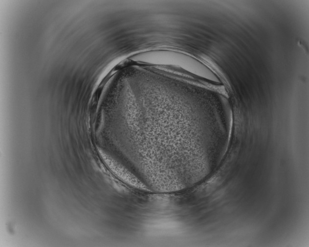 X0000099470956200805231827