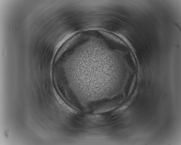 X0000099470957200805231827