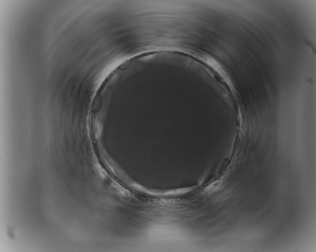 X0000099470958200805231827