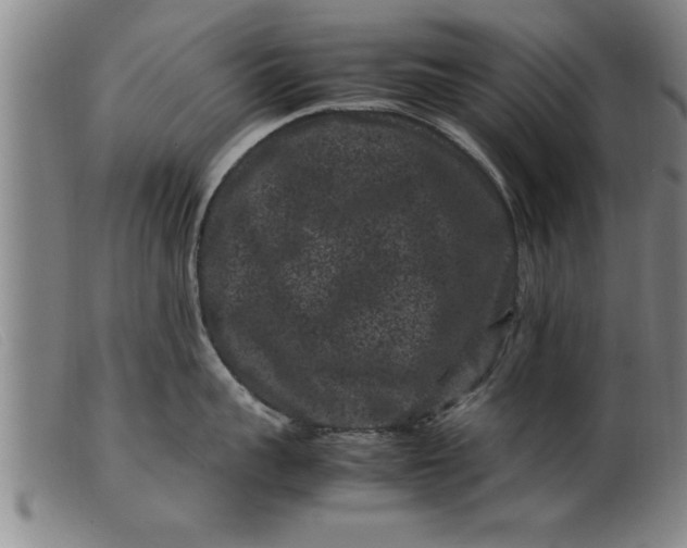 X0000099470959200805231827